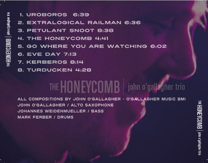 John O'Gallagher: The Honeycomb back cover